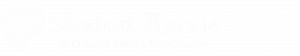 dr-mohammad rezaei